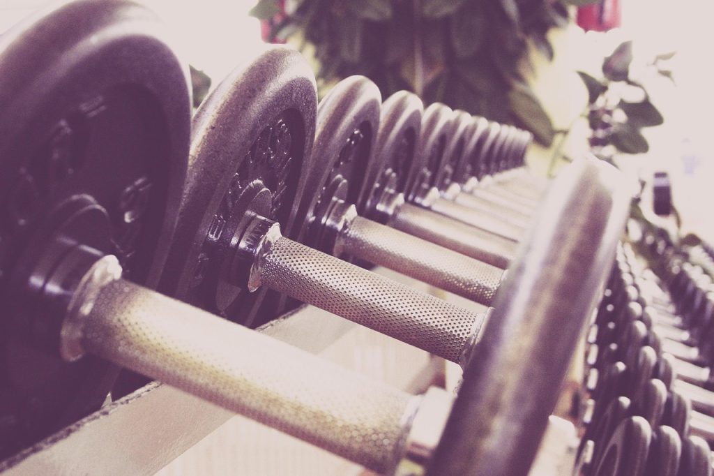 fitness, dumbbells, training, gym, weights, weightlifting, weight training, gym equipment, fitness studio, studio, weight, exercise, many, train, fit, fitness, gym, gym, gym, gym, gym