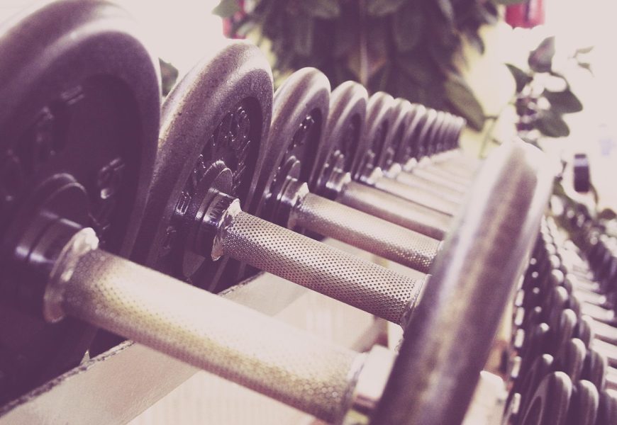 fitness, dumbbells, training, gym, weights, weightlifting, weight training, gym equipment, fitness studio, studio, weight, exercise, many, train, fit, fitness, gym, gym, gym, gym, gym