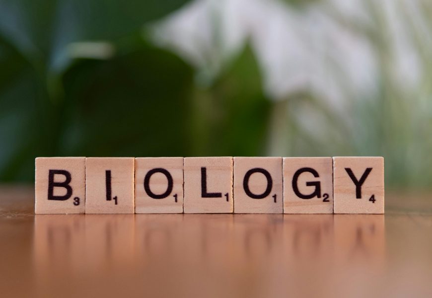 Wooden letter blocks spelling 'Biology' on a table with a green background.