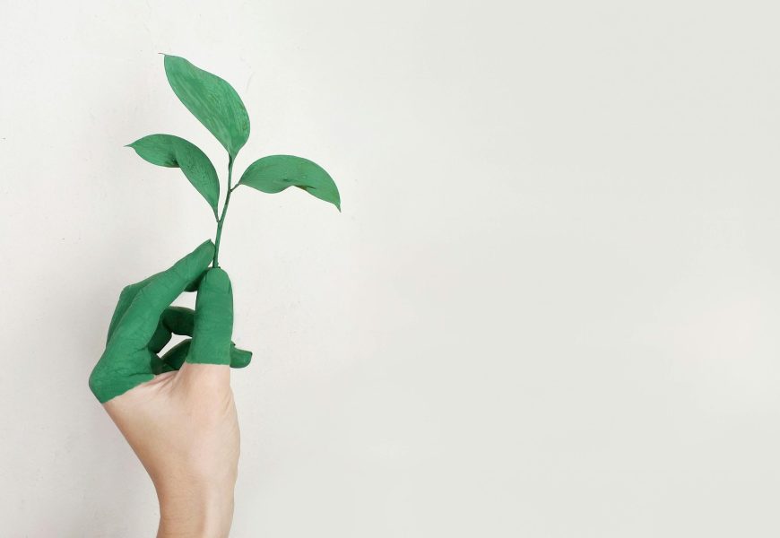 A hand painted green holds a fresh plant sprout against a light background, symbolizing growth and sustainability.
